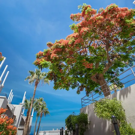 Olivos Ξενοδοχείο