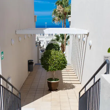 Olivos Costa Adeje (Tenerife)