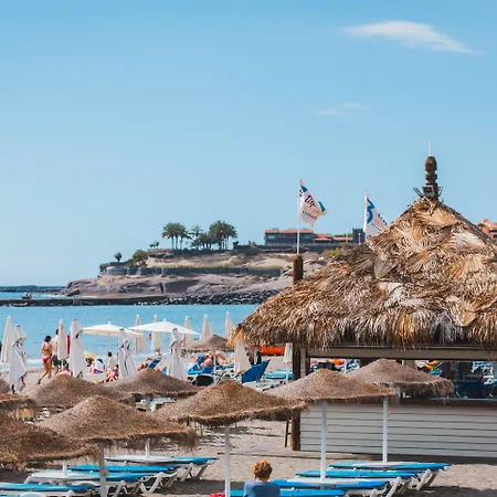 Olivos Costa Adeje (Tenerife)