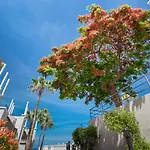 Olivos מלון