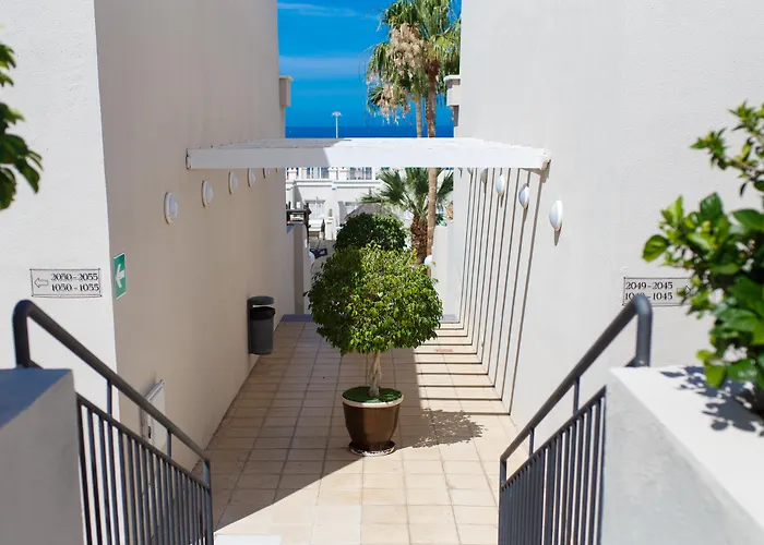 Olivos Costa Adeje (Tenerife)